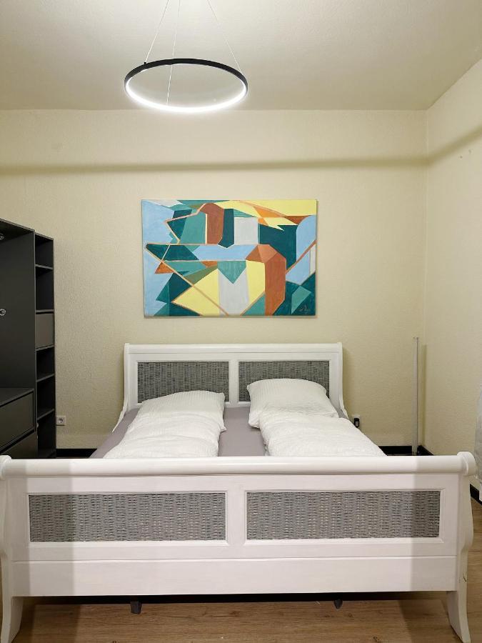 Apartment Igo Apartment: Rhine Riverfront Pet-friendly With Washer/dryer *