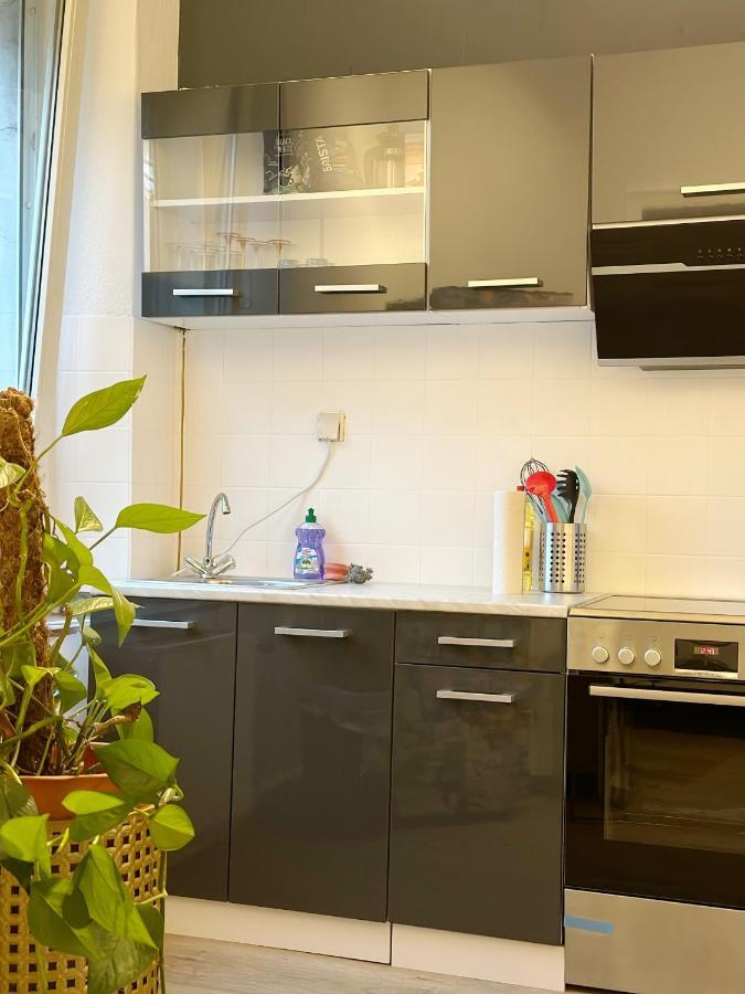 Igo Apartment: Rhine Riverfront Pet-friendly With Washer/dryer * Duisburg
