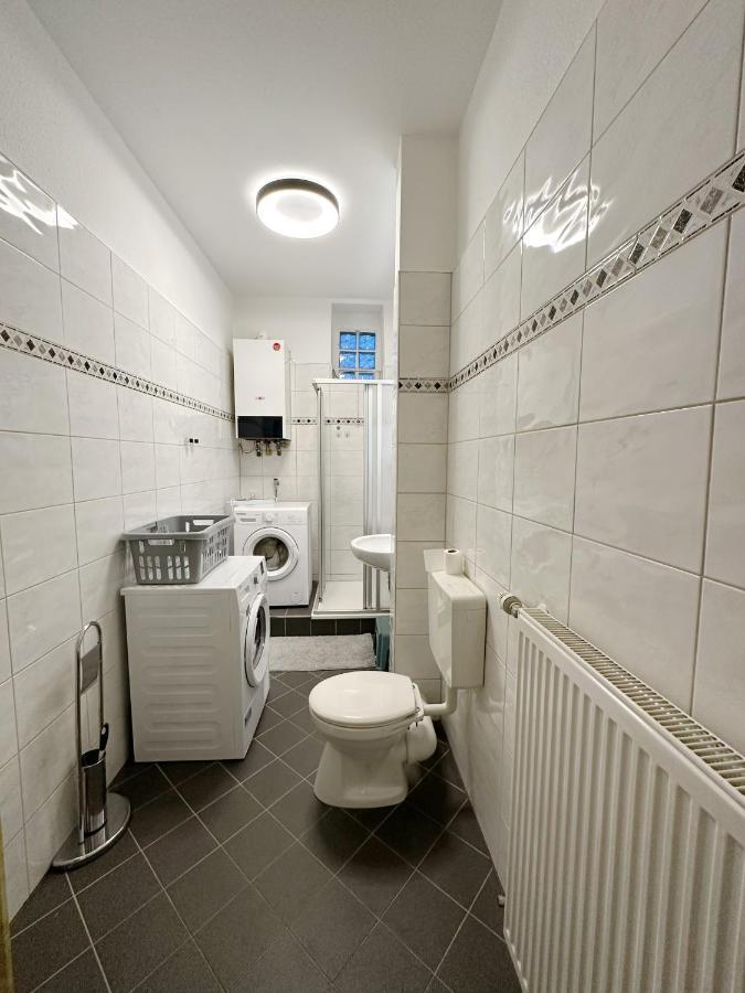 Apartment Igo Apartment: Rhine Riverfront Pet-friendly With Washer/dryer *